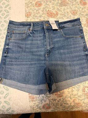 American Eagle Outfitters Light Blue Denim Roll-Hem Shorts